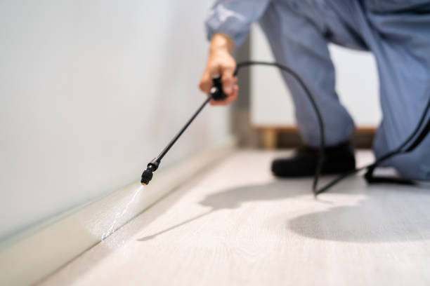 Licensed Pest Control service in Petersburg, MI - Show Me Pest Control